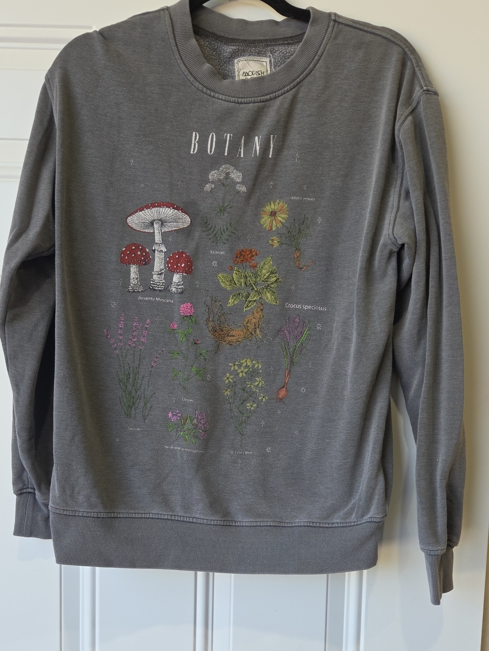 Botany Graphic Crewneck Sweatshirt - Gray